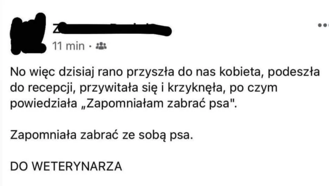 A na co komu pies...