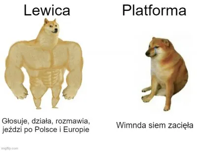 Platforma