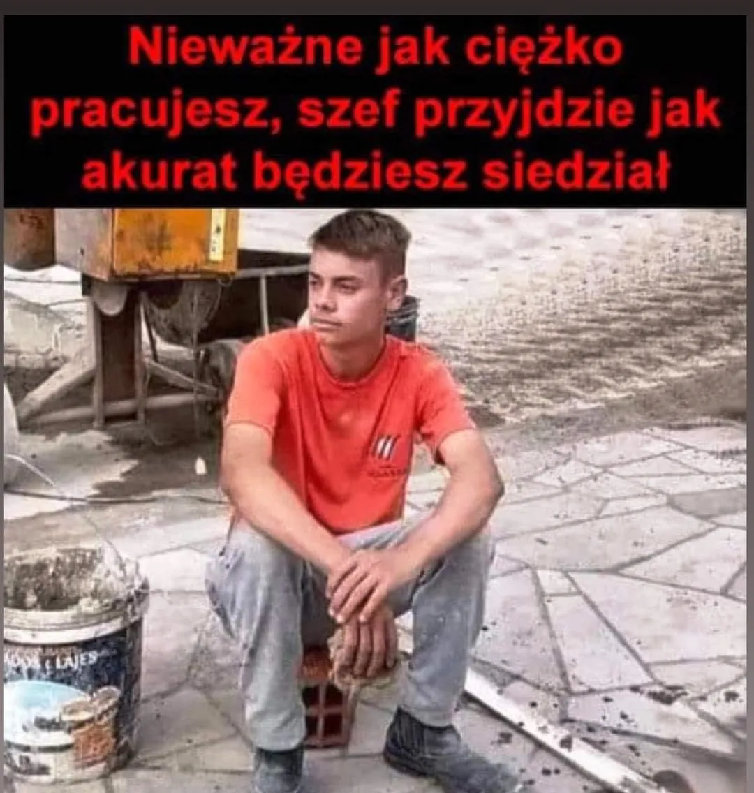Siedzenie