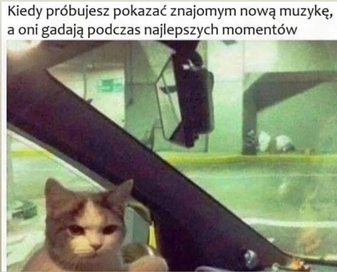 Muzyka