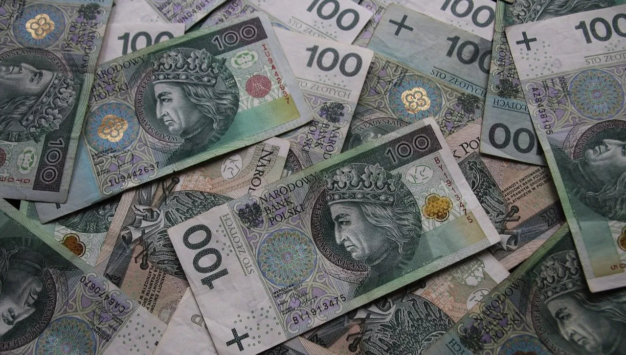 Nadwyżka w budżecie wyniosła ponad 9 mld zł