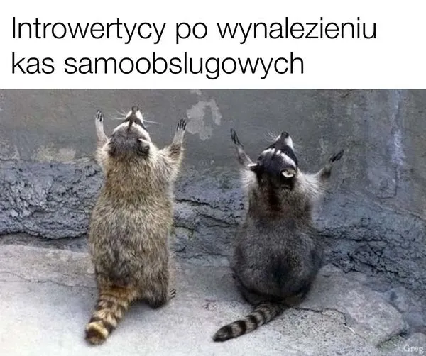 Introwertycy