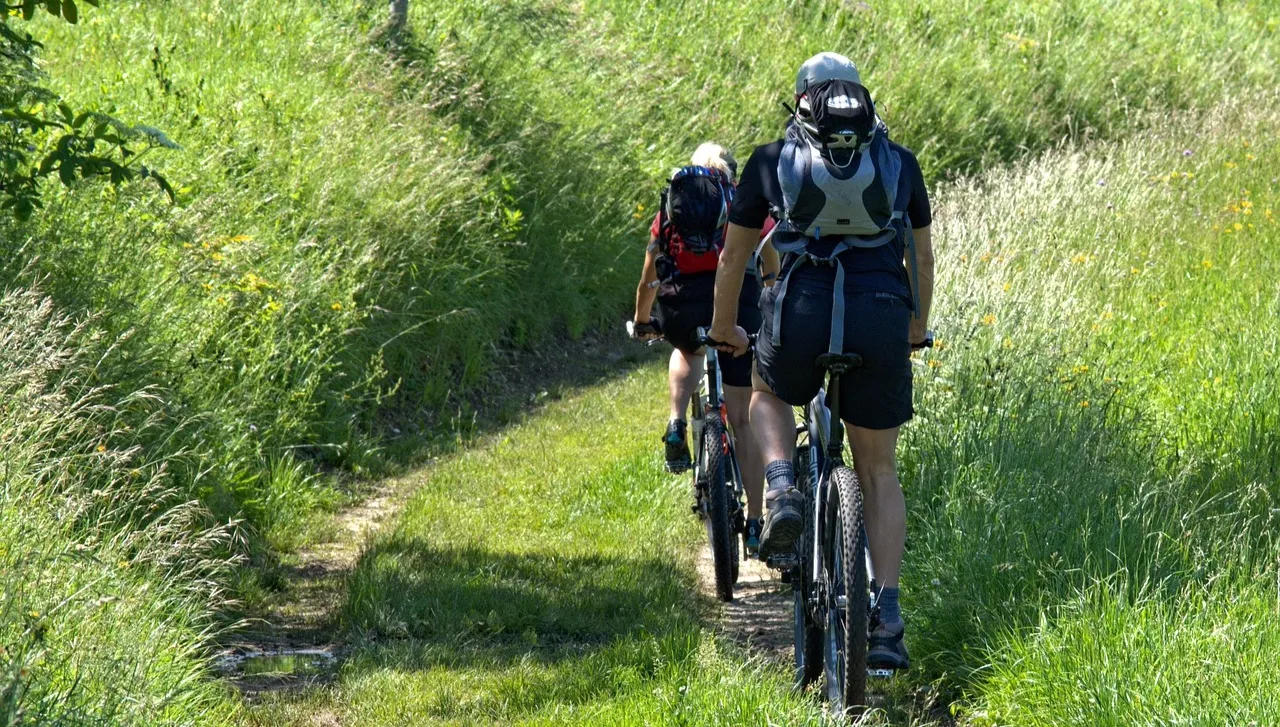 Rowerzyści złapani na granicy polsko-ukraińskiej. Nie wiedzieli, że opuszczają... strefę Schengen