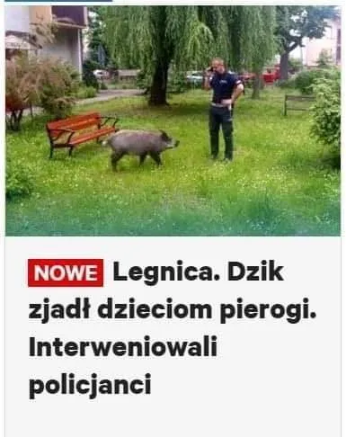 Śledztwo w toku