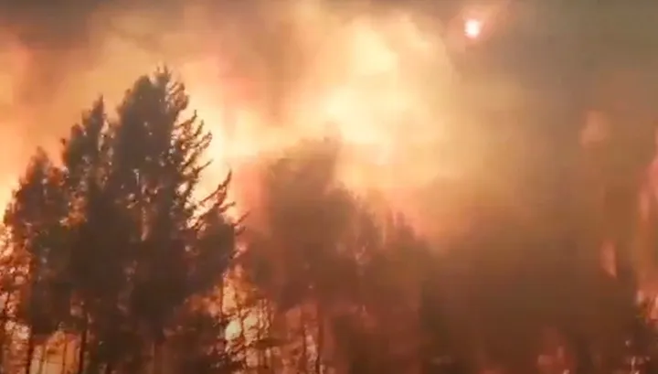 Mroźna Syberia płonie. Szokujące nagrania