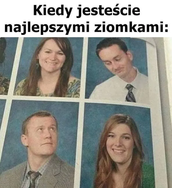 Ziomki