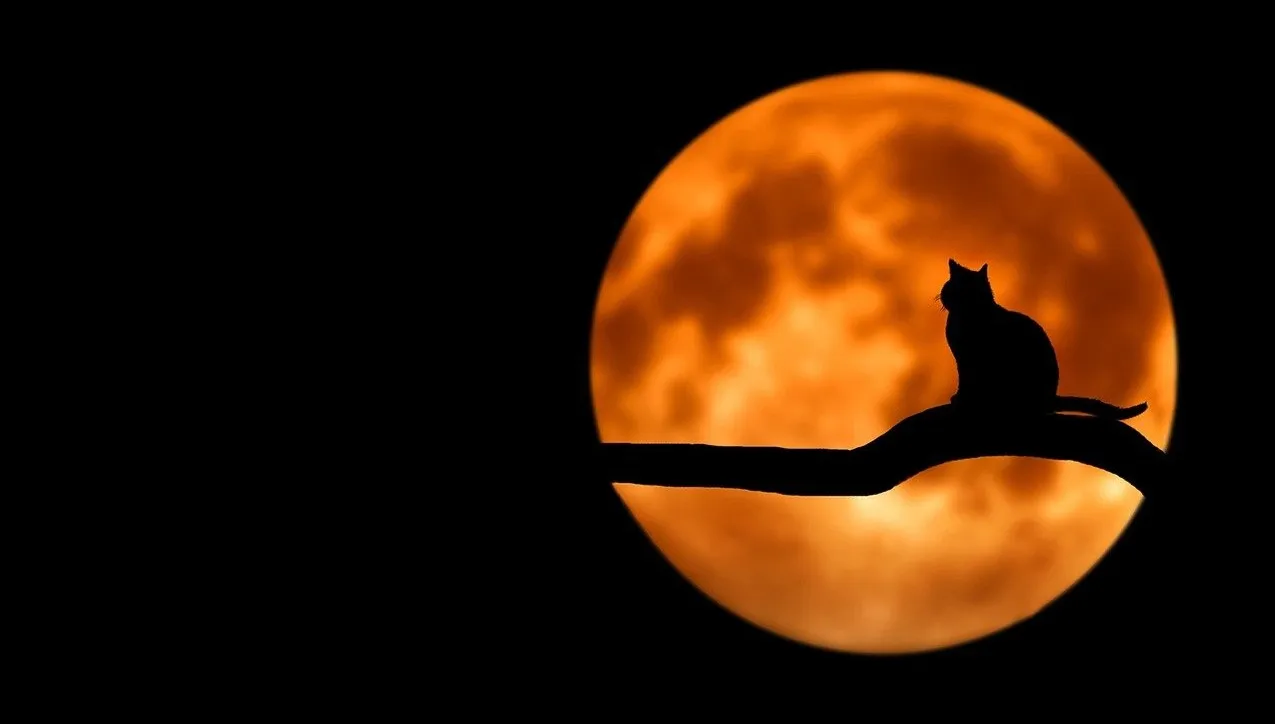 Przed nami tropikalna noc. Specjalista radzi: Zadbajmy o komfort nocnego wypoczynku