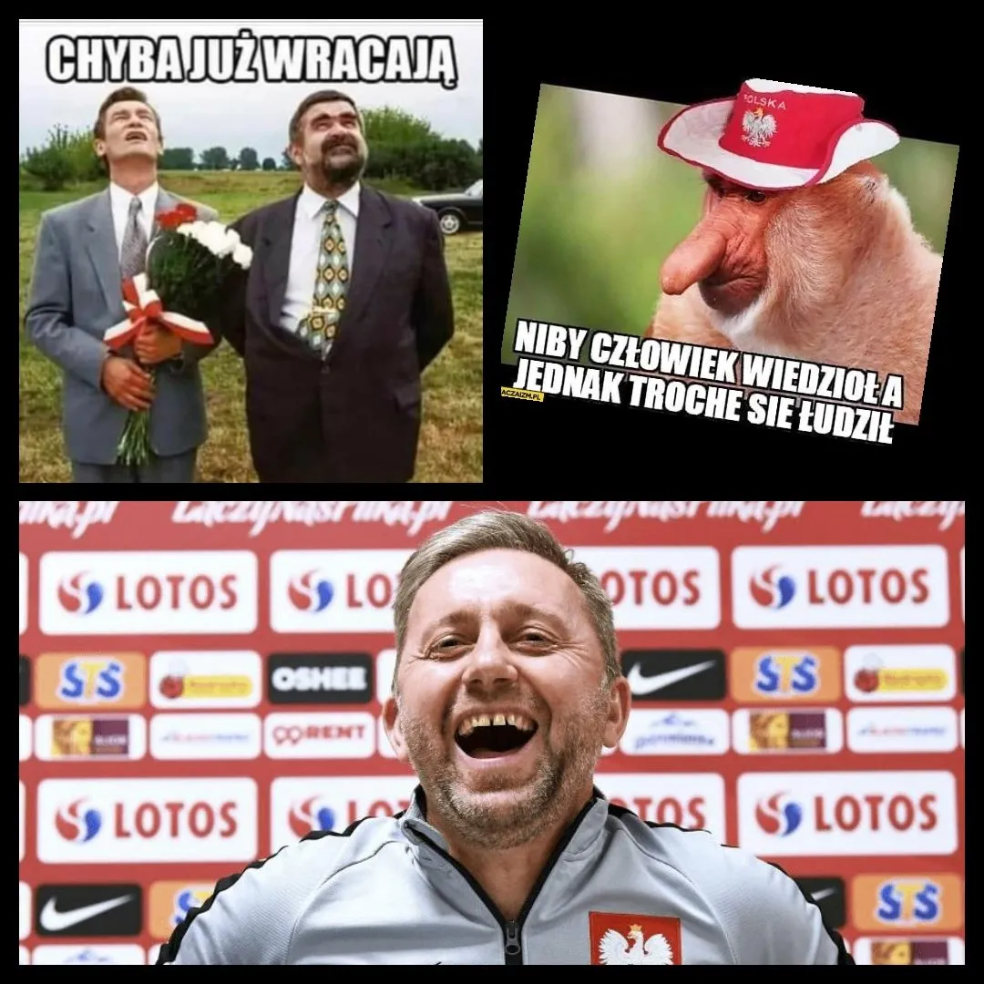 Wracają
