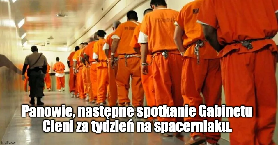 Gabinet cieni