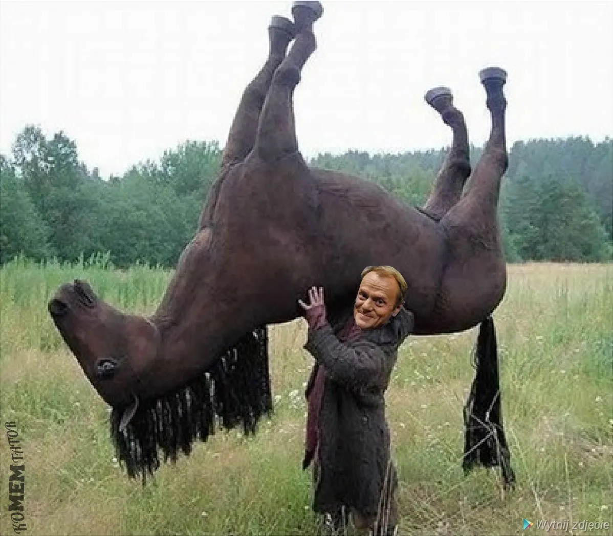 Wrócił