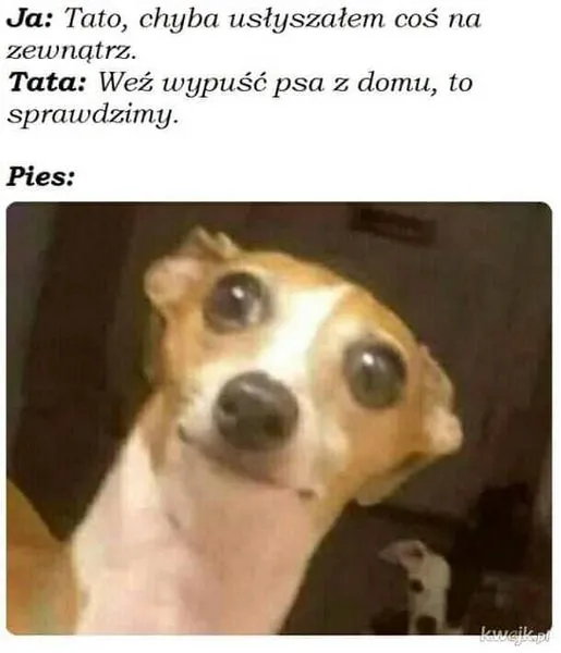 Psa?