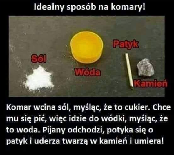Plan na komara