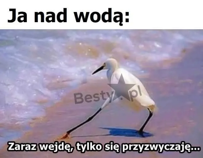 Nad wodą