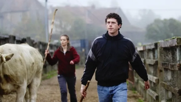 Zwycięstwo "Beasts" na 19. edycji Tofifest