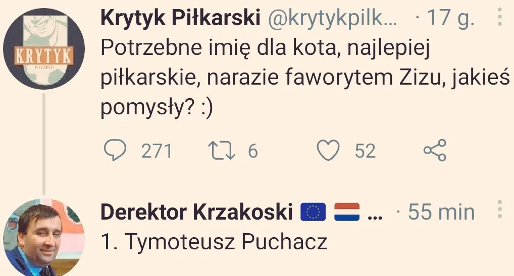Tymoteusz Puchacz