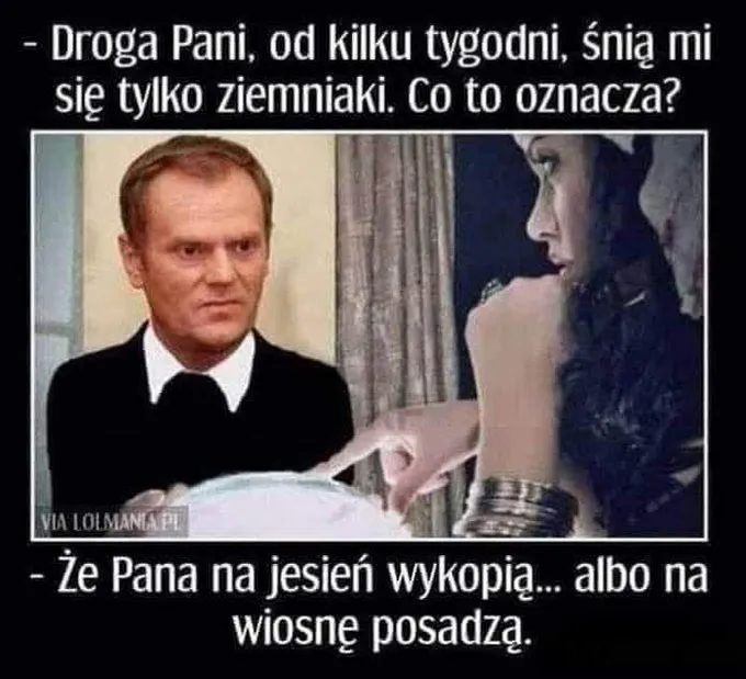 Ziemniaki