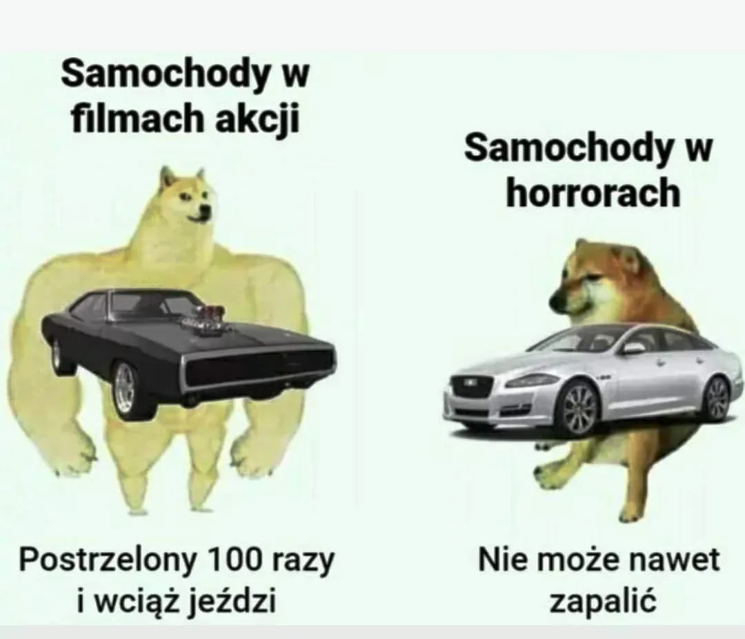 Samochody