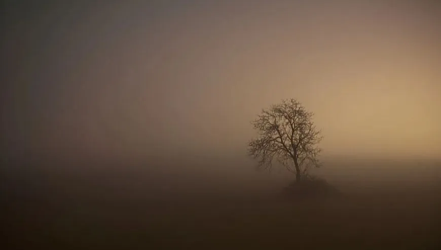 Noc będzie chłodna i mglista