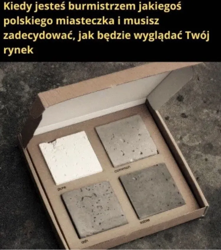 Wybór burmistrza