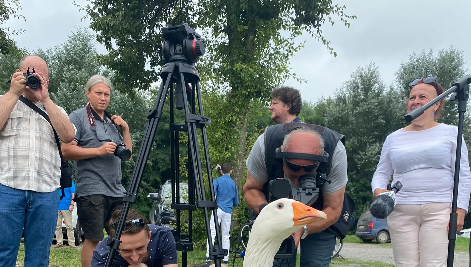 Budka: ludzie samorządu filarem PO