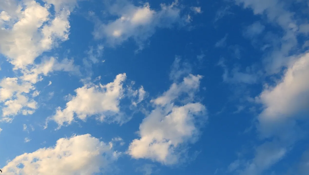 Rekordowe temperatury w Wielkiej Brytanii. W Irlandii historyczny rekord