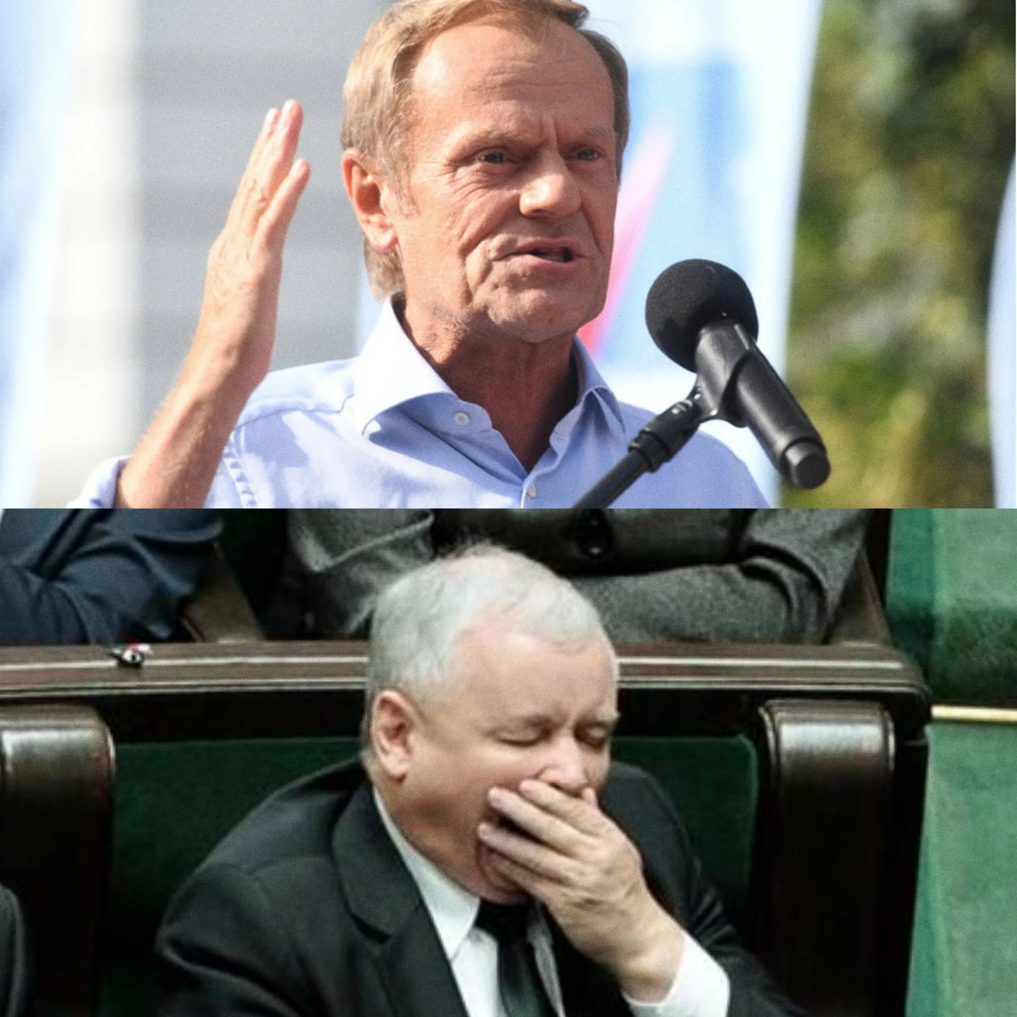 Reakcja