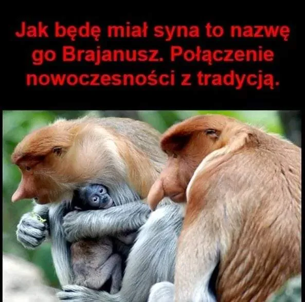Brajanusz