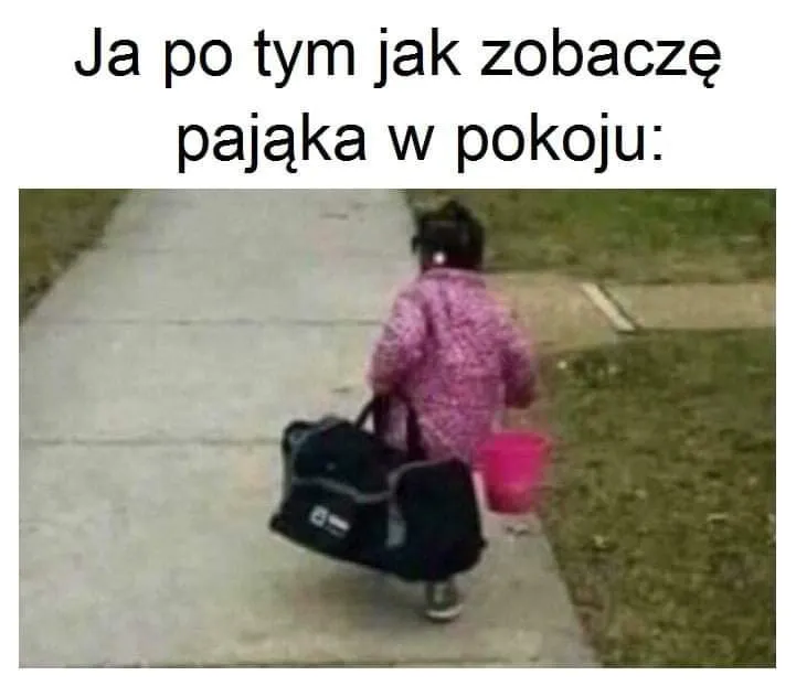 Pająk