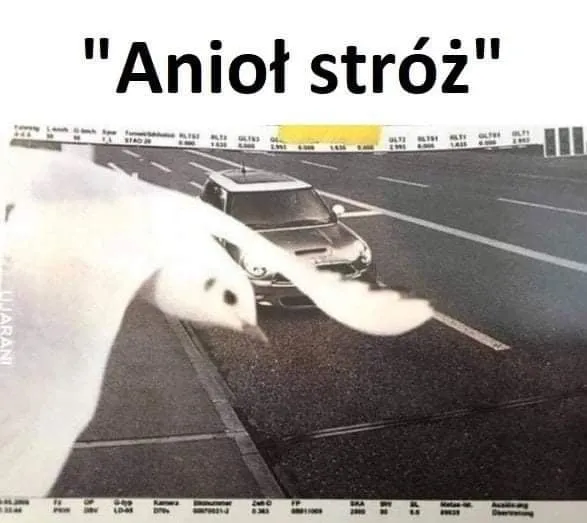 Anioł stróż
