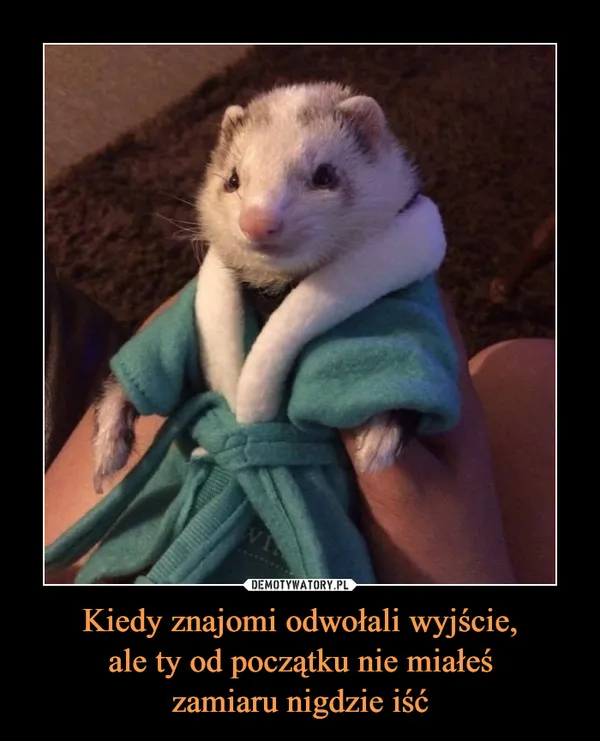 Odwołane wyjście