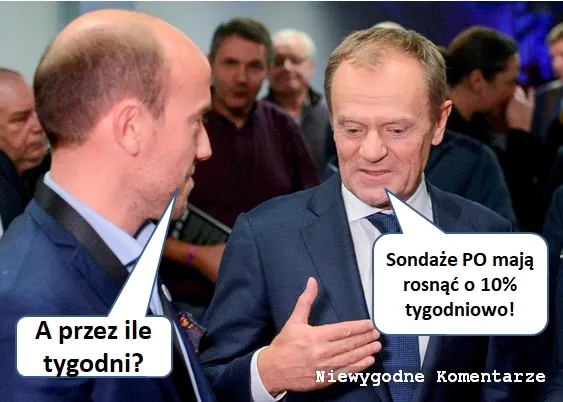 Sondaże PO