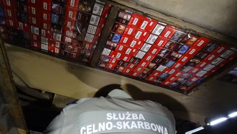 Psy wykryły setki paczek nielegalnych papierosów