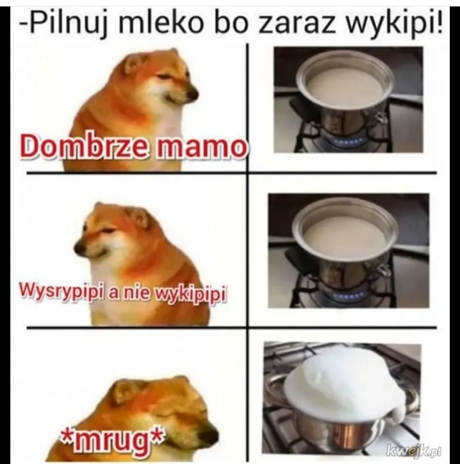 Mrug