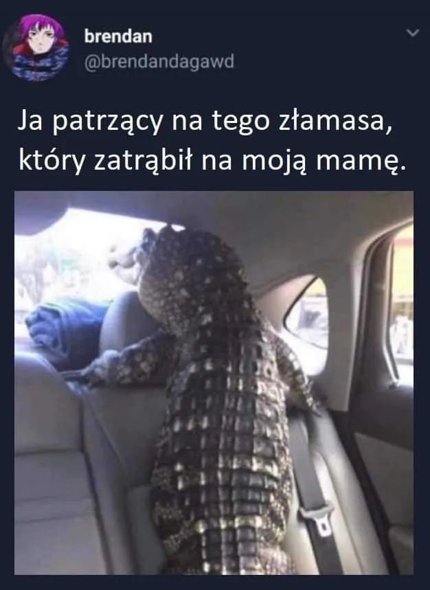 Trąbi