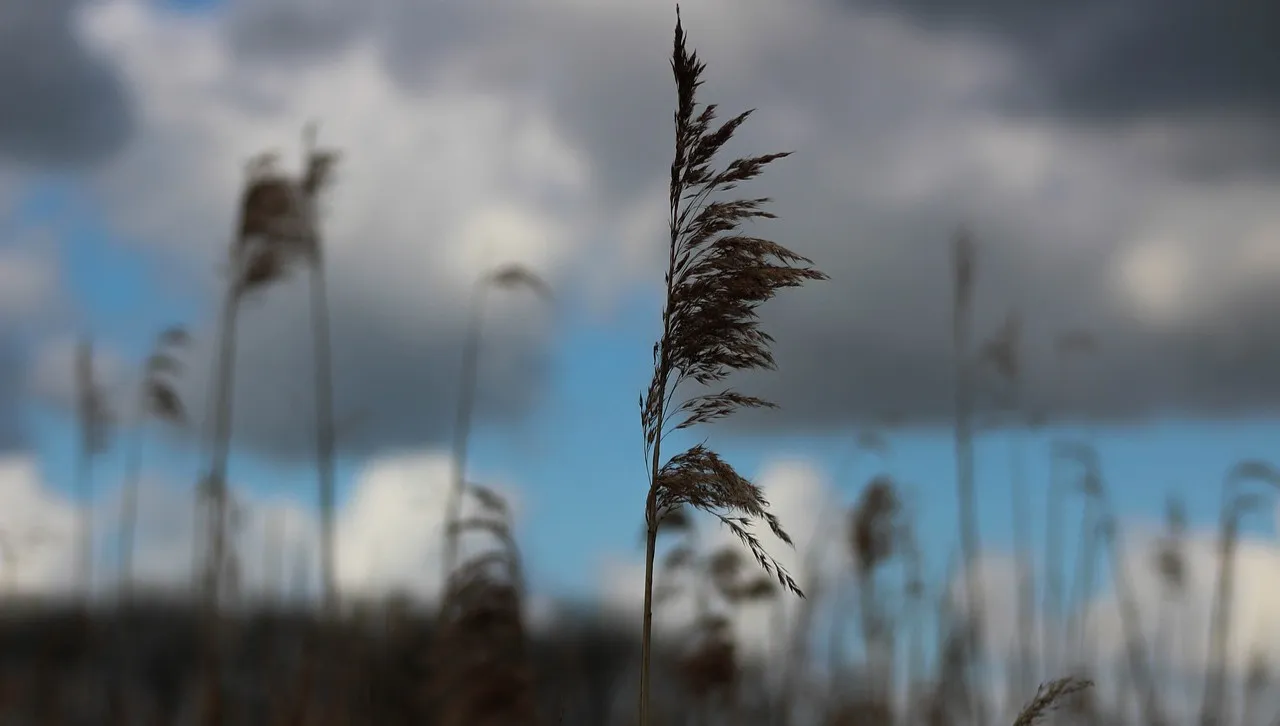 Podkarpacie: nadchodzą burze i nawałnice