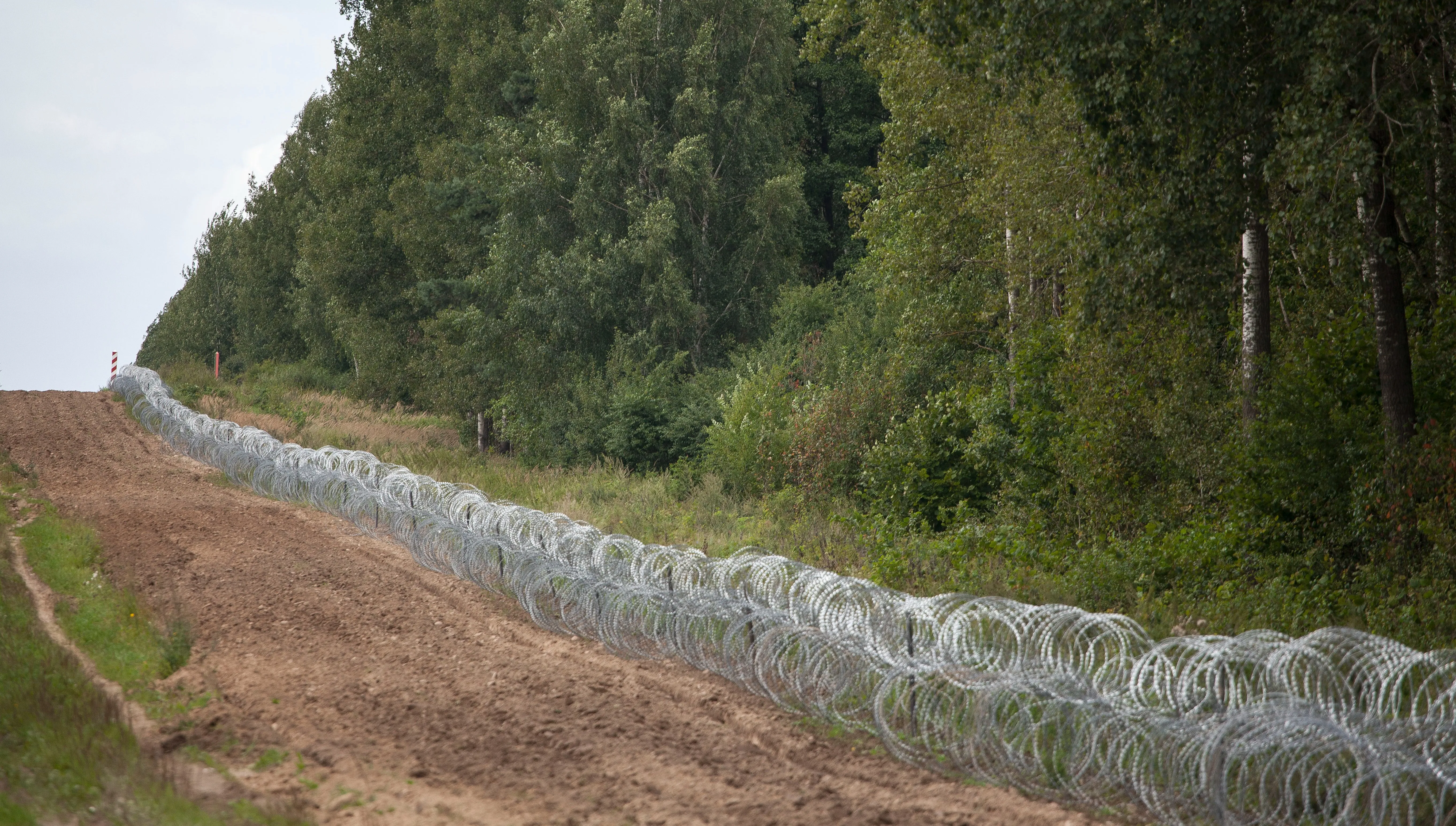 Białoruś nie reaguje na prośby Straży Granicznej