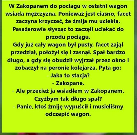 Żmija
