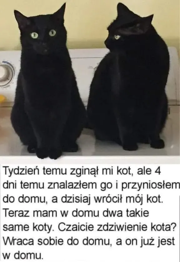 Dwa takie same