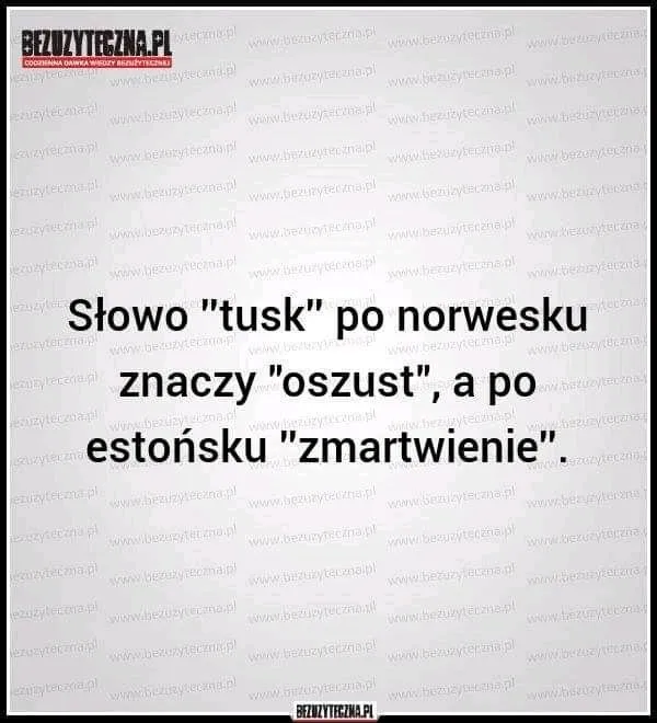 Słowo "tusk"