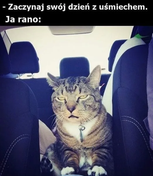 Poranek