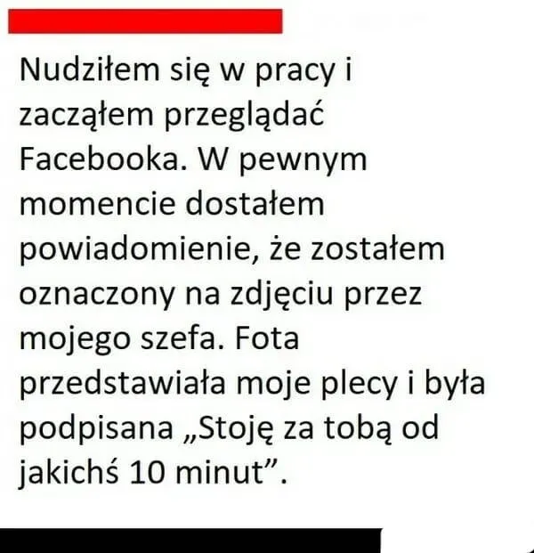 Gdzie jest szef?