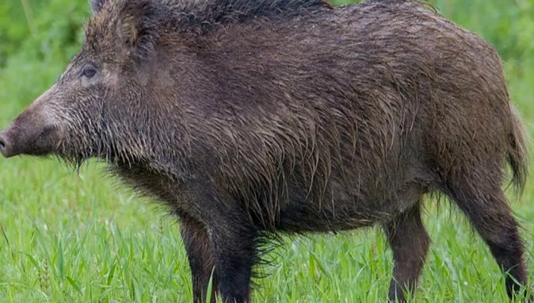 Zdjęcie główne