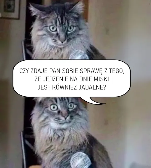 Czy zdaje sobie Pan...