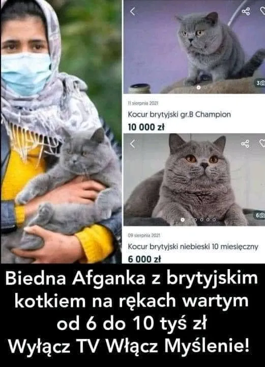 Bieda aż piszczy