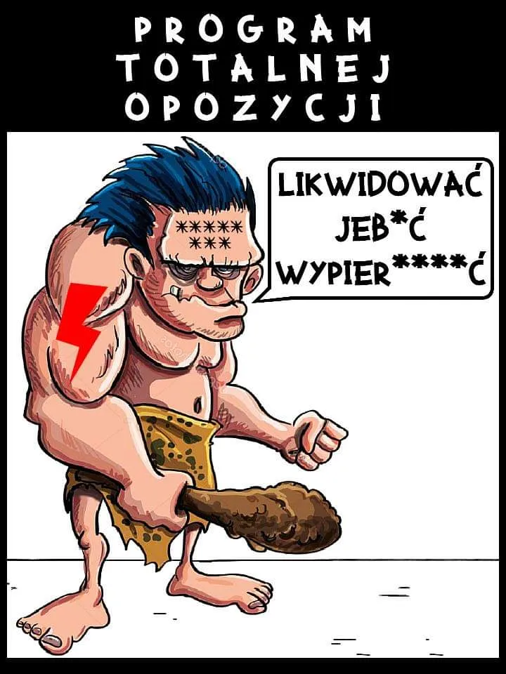 Program opozycji