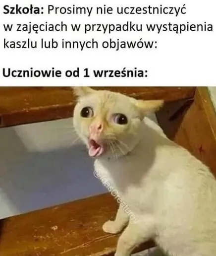 Czas do szkoły!