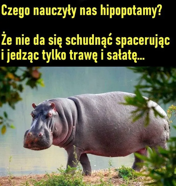 Nauka