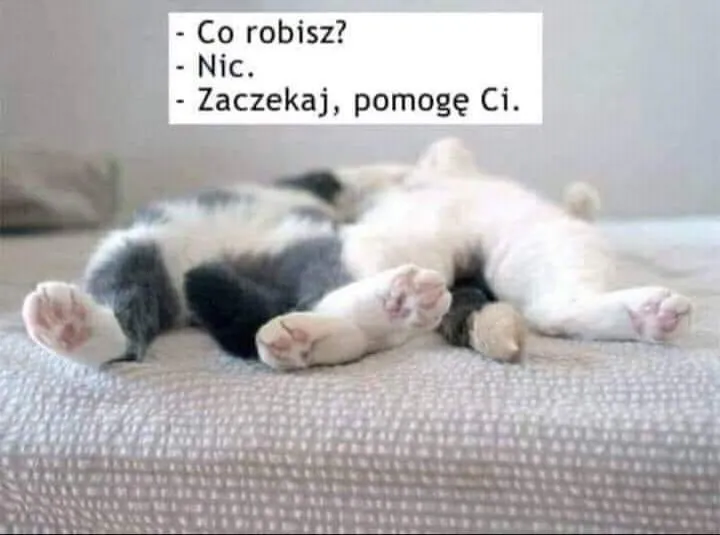 Sobota