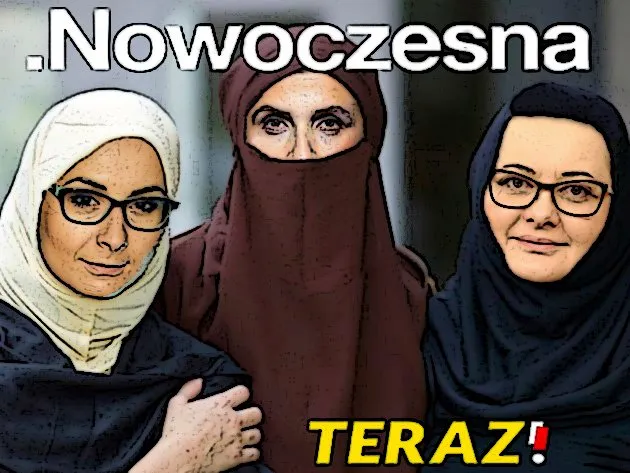 Nowoczesna 