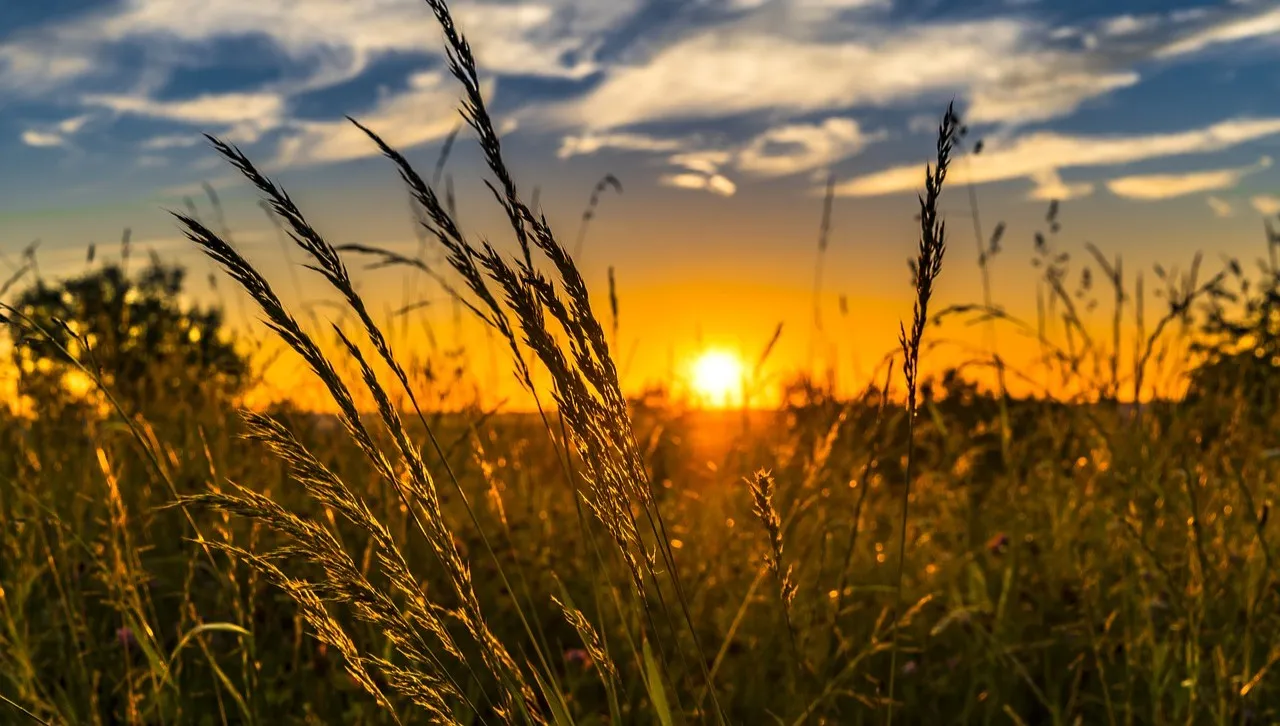W niedzielę w Żaganiu regionalne święto plonów